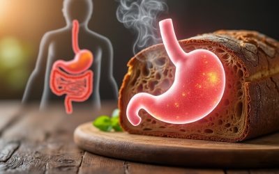Blog 16 Tout savoir sur les inconvénients du pain au levain pour la digestion